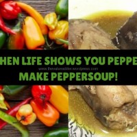 When life shows you pepper, make peppersoup!